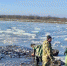 В Астраханской области активно развивается прудовое рыболовство - Астрахань.Ру