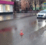 «Переживаем, что замнут»: в Знаменске продолжается расследование смертельной аварии - Астрахань.Ру