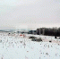 photo_2024-01-24_12-57-24 - Сетевое издание Арбуз