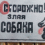 В Астрахани собака накинулась на грудного младенца - Астрахань.Ру