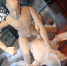 hand-man-girl-woman-leg-model-1130802-pxhere.com - Сетевое издание Арбуз