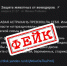В Астрахани распространяют фейк о массовом убийстве собак - Punkt-a.info