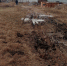 IMG-20240214-WA0006 - Сетевое издание Арбуз
