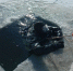 В Астраханской области водолазы прочесывают дно реки в поисках пропавшего мальчика - Astrakhanpost.Ru