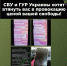 photo1711367583.jpeg - Южная Волна