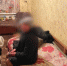 image-11-04-24-12-04-800×600 - Сетевое издание Арбуз