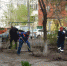 В Кременском районе высадят более 300 кустов астраханских роз - Bloknot-Astrakhan.Ru