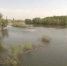 Север Астраханской области встречает большую воду - Астрахань 24