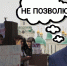 Председатель «Справедливой России» хочет отменить эвтаназию собак в Астраханской области - Сетевое издание Арбуз