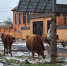 IMG-20231219-WA0035 - Сетевое издание Арбуз