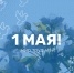 С праздником Весны и Труда! - Министерство финансов