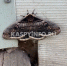 КаспийИнфо. Новости Астрахани и региона - KaspyInfo.Ru
