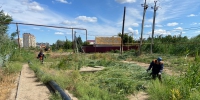 В Астрахани косят сорняк и камыш в качестве противопожарной меры - Газета Волга