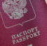 В России получить загранпаспорт стало дороже - Астрахань.Ру