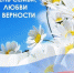 Поздравление ректора АГАСУ с Днем семьи, любви и верности - Архитектурно-строительный университет