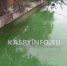 КаспийИнфо. Новости Астрахани и региона - KaspyInfo.Ru