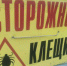 Есть тяжелые случаи: астраханцев чаще стали кусать клещи - Астрахань.Ру
