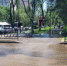 Аллею на улице Савушкина в Астрахани залило горячей водой - Bloknot-Astrakhan.Ru