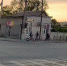 RemasterDirector_1a5c03258 - Сетевое издание Арбуз