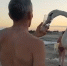 Фото: Скриншот с видео ТГ-канала Ахтубинск знает - KaspyInfo.Ru