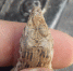 B__MwcPEGrwaVsgqllEMqyboYAfZVcLwGtxEdnPhckXYBdpriz2_RsnaS4OMvm-DoIBmVPp4uCyAZJWOpFB_N9ve - Сетевое издание Арбуз