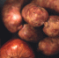 plant-meal-food-produce-vegetable-meat-684570-pxhere.com - Сетевое издание Арбуз