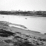 Чем жили. Пить в Астрахани было опасно. Есть  - тем более - Punkt-a.info