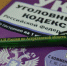 Судебные приставы взыскали с гражданки 100 тысяч рублей за аферу с маткапиталом - УФССП России