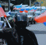 В Астрахани пройдёт автопробег в честь Дня государственного флага - ГТРК Лотос