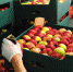 Еще 6 компаний из новых регионов заключили 10 договоров поставки пищевой продукции - ТПП
