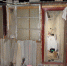 IMG-20240919-WA0032_(1)-800×600 - Сетевое издание Арбуз