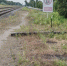 Под Санкт-Петербургом электричка сбила астраханского пенсионера - Bloknot-Astrakhan.Ru