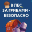 Советы от спасателей, как безопасно провести время за сбором грибов - МЧС России