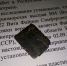 Астраханские поисковики во время экспедиции нашли останки советских солдат - Punkt-a.info