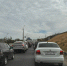 WhatsApp Image 2024-10-15 at 14.05.27 (1) - Сетевое издание Арбуз