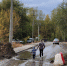 20241019_141240 - Сетевое издание Арбуз