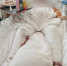 d22KFkCc7vY - Сетевое издание Арбуз