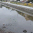 Водные каналы в центре Астрахани превратились в место утилизации мусора - Punkt-a.info