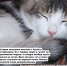 Screenshot_20241030_221841_edit_1733394305722406 - Сетевое издание Арбуз