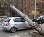 В Астрахани ликвидируют последствия сильного ветра