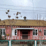 IMG_20241128_193141_664 - Сетевое издание Арбуз