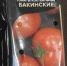 IMG_20241204_135658_765 - Сетевое издание Арбуз