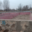 IMG_20241210_212724_779 - Сетевое издание Арбуз