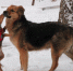 КаспийИнфо. Новости Астрахани и региона - KaspyInfo.Ru