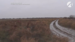 В Володарском районе обнаружен заброшенный сельхозучасток