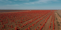 Объем астраханской сельхозпродукции в 2024 году снова показал рост - Bloknot-Astrakhan.Ru