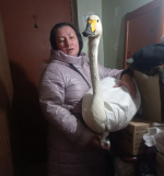 IMG-20250102-WA0018