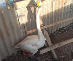 IMG-20250102-WA0017