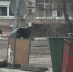 В Астрахани поддержали законопроект создания мест накопления ТКО регоператором - Bloknot-Astrakhan.Ru