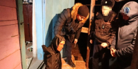 Screenshot_20250128_125119_Telegram - Сетевое издание Арбуз